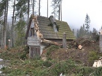 Veterná kalamita zničila takmer 10 000 stromov.
