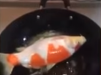 Koi kapor vraj nebol len krásny. Koi kapor vraj nebol len krásny.