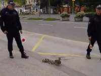 Obetavá práca policajtov Obetavá práca policajtov