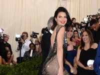 Kendall Jenner v odvážnych šatách upútala pozornosť.