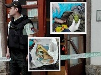 Jaro lúpil v kremnickej banke Jaro lúpil v kremnickej banke