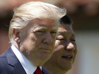 Donald Trump Donald Trump