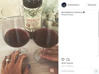 Dominika Cibulková si so svojím manželom dopriala na prvé výročie fľašu drahého francúzskeho vína.