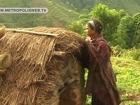 Žena s menzesom musí žiť v malej chatrči Žena s menzesom musí žiť v malej chatrči