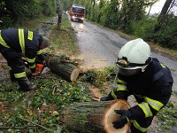 Hasiči v Starej Turej odstraňujú popadané stromy a vetvy po tom, čo sa západom prehnala búrka so silným vetrom. Hasiči v Starej Turej odstraňujú popadané stromy a vetvy po tom, čo sa západom prehnala búrka so silným vetrom.