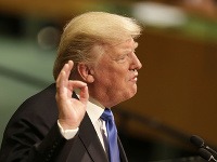 Donald Trump Donald Trump