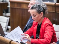 Poslankyňa NR SR za hnutie OĽaNO-NOVA Soňa Gaborčáková Poslankyňa NR SR za hnutie OĽaNO-NOVA Soňa Gaborčáková