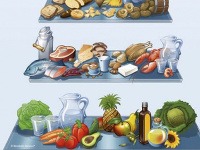 Kniha Metabolic Balance Kniha Metabolic Balance