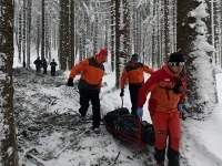 Muž (†39) zahynul v lese pri práci Muž (†39) zahynul v lese pri práci