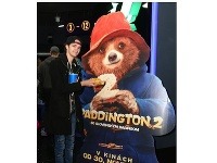 Lukáš Frlajs na slávnostnej premiére filmu Paddington 2.
