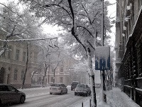 Snehová kalamita v januári 2013 v Bratislave.