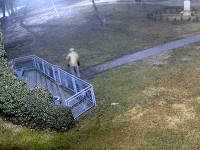 Krádež v obci Závod Krádež v obci Závod