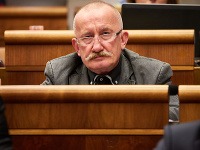 Stanislav Mizík Stanislav Mizík