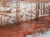 Nikto zatiaľ nepozná pôvod zafarbenia Nikto zatiaľ nepozná pôvod zafarbenia
