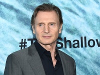 Liam Neeson Liam Neeson