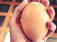 Gigantické vajce z austrálskej farmy