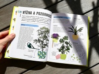 Kniha Ako si nezabiť izbové rastliny