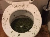 Spláchnuť trávu je nemožné Spláchnuť trávu je nemožné