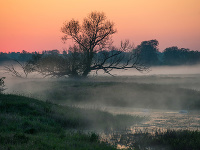 Ilusračné foto Ilusračné foto