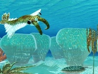 Bezstavovec Anomalocaris žil v období kambria Bezstavovec Anomalocaris žil v období kambria