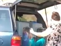 Žena zavrela svoje dve vnúčatá do klietok pre psov