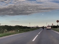 Naháňačka s motorkárom Naháňačka s motorkárom