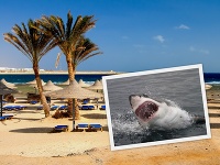 Ilustračné foto Ilustračné foto