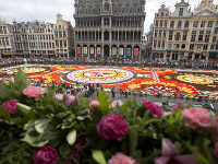 Kvetinový koberec v Belgicku