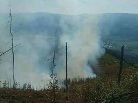 Hasiči zasahujú pri rozsiahlom požiari lesa v Polomke. Hasiči zasahujú pri rozsiahlom požiari lesa v Polomke.
