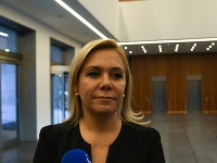 Denisa Saková a Horst Seehoffer počas stretnutia v Berlíne. Rozprávali sa o únose Vietnamca. Denisa Saková a Horst Seehoffer počas stretnutia v Berlíne. Rozprávali sa o únose Vietnamca.