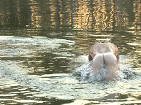 MartinŠmahel a Michal Gajdošech sa rozhodli, že sa v jazere vykúpu úplne nahí. 