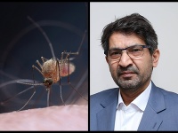 Nasir Jalili o západonílskej horúčke. Nasir Jalili o západonílskej horúčke.