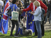 Briti vyšli do ulíc. Požadujú nové referendum, vyšli aj so psami. 