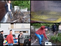Odchyt mamby zelenej v Česku. Odchyt mamby zelenej v Česku.