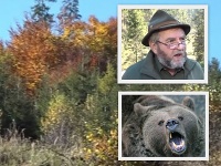 Medveď zaútočil na poľovníka na Orave