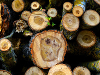 Ilustračné foto Ilustračné foto
