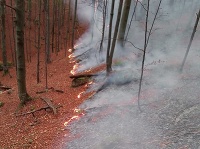 Požiar lesa v Gaderskej doline