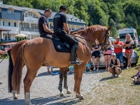 Policajti so služobnými koňmi sa pravidelne zúčastňujú rôznych rizikových športových podujatí či verejných zhromaždení.