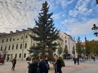 Vianočný stromček v Bratislave