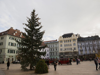 Vianočný stromček v Bratislave