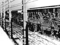 väzni v koncentračnom tábore