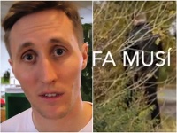 Matej Sajfa Cifra bol prichytený v chúlostivej chvíli. Matej Sajfa Cifra bol prichytený v chúlostivej chvíli.