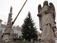 Košický vianočný stromček Košický vianočný stromček