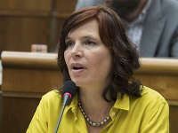 Poslankyňa NR SR Veronika Remišová, Poslankyňa NR SR Veronika Remišová,