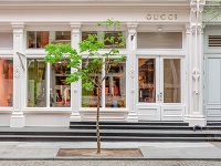Módny dom Gucci. Módny dom Gucci.
