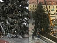 Vianočný stromček pred parlamentom