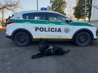 Mladík sa vlámal do domu a tam okradol a napadol ženu. Mladík sa vlámal do domu a tam okradol a napadol ženu.
