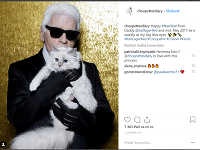 Mačka Karla Lagerfelda Choupette je údajne najrozmaznanejším miláčikom na svete. Má vlastného kuchára, šoféra, iPad a k tomu 116-tisíc sledovateľov.