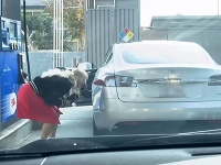 Žena sa pokúšala natankovať benzín do elektrického auta. Žena sa pokúšala natankovať benzín do elektrického auta.