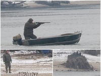 Brutálny lov na kačice divé. Brutálny lov na kačice divé.